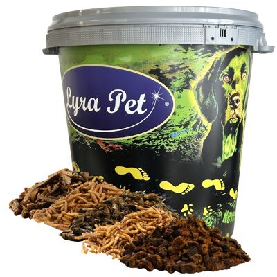 "translations":["text":"5 X 1 Kg De Mélange D'Essai D'Insectes Lyra Pet® Séchés, Conditionnés Dans Un Fût De 30 L","detectedsourcelanguage":"de","taghandlingversion":"v1 - Publicité "translations":["text":"5 X 1 Kg De Mélange D'Essai D'Insectes Lyra Pet® Séchés, Conditionnés Dans Un Fût De 30 L","detectedsourcelanguage":"de","taghandlingversion":"v1 - Publicité