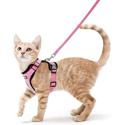 BRINSEA Harnais Chat Petit Chien Laisse Harnais Chaton Réglable Rose S Collier Harnai Chat Refléchissant Gilet Respirant Pour Lapin, Chat Européen, Maine Coon, Persan, Attache Dessus Avec Laisse-ensoleillé - Publicité BRINSEA Harnais Chat Petit Chien Laisse Harnais Chaton Réglable Rose S Collier Harnai Chat Refléchissant Gilet Respirant Pour Lapin, Chat Européen, Maine Coon, Persan, Attache Dessus Avec Laisse-ensoleillé - Publicité