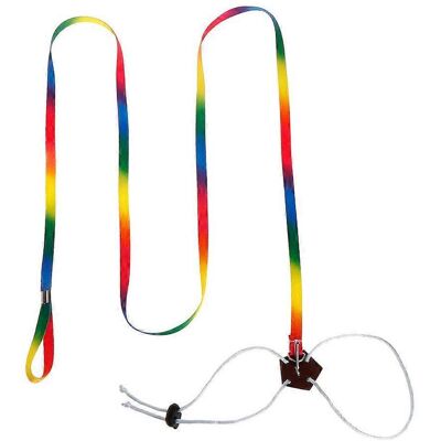 ALLAUVE Harnais Coloré Pour Petits Animaux De Compagnie, Corde De Marche Réglable Pour Furet, Chinchilla, Hamster - Publicité ALLAUVE Harnais Coloré Pour Petits Animaux De Compagnie, Corde De Marche Réglable Pour Furet, Chinchilla, Hamster - Publicité