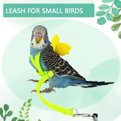 MCKENSA Harnais Et Laisse Ailés Mignons Pour L'Entraînement Au Vol Des Petits Oiseaux, Harnais Et Laisse Ailés Réglables Pour Perroquets Et Pigeons En Extérieur - Publicité MCKENSA Harnais Et Laisse Ailés Mignons Pour L'Entraînement Au Vol Des Petits Oiseaux, Harnais Et Laisse Ailés Réglables Pour Perroquets Et Pigeons En Extérieur - Publicité
