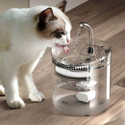 SANS MARQUE Distributeur D'Eau Pour Animaux De Compagnie Filtre De Circulation Automatique Distributeur D'Eau Pour Chat Distributeur D'Eau Intelligent Pour Animaux De Compagnie Chaton D'Eau Qui Coule- - Publicité SANS MARQUE Distributeur D'Eau Pour Animaux De Compagnie Filtre De Circulation Automatique Distributeur D'Eau Pour Chat Distributeur D'Eau Intelligent Pour Animaux De Compagnie Chaton D'Eau Qui Coule- - Publicité