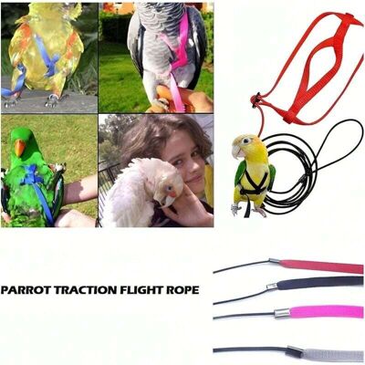 FANGMEDIA Harnais Et Laisse Pour Perroquet Et Oiseau - Sangles De Traction Réglables Pour L'Extérieur - Corde D'Entraînement Anti-morsure Réglable (l) - Publicité FANGMEDIA Harnais Et Laisse Pour Perroquet Et Oiseau - Sangles De Traction Réglables Pour L'Extérieur - Corde D'Entraînement Anti-morsure Réglable (l) - Publicité