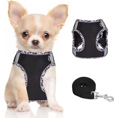 Vision Harnais Pour Chiens De Petite Et Moyenne Taille, Harnais Et Laisse Pour Chiots, Harnais En Maille Réfléchissante, Gilet Rembourré Doux Et Respirant Pour Chien,xxs - Publicité Vision Harnais Pour Chiens De Petite Et Moyenne Taille, Harnais Et Laisse Pour Chiots, Harnais En Maille Réfléchissante, Gilet Rembourré Doux Et Respirant Pour Chien,xxs - Publicité