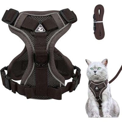 OEM Harnais Avec Laisse Pour Chat, Pour Les Promenades, Réfléchissant, Antidérapant, Marron, Xs - Publicité OEM Harnais Avec Laisse Pour Chat, Pour Les Promenades, Réfléchissant, Antidérapant, Marron, Xs - Publicité