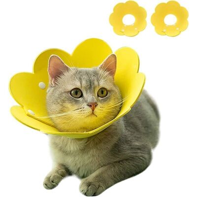 BRINSEA Colliers Pour Chat 2 Pièces, Colliers De Récupération Pour Animaux De Compagnie Cône Anti-morsure Protection Réglable Forme De Motif De Tournesol Pour Chien Et Chat (jaune), Ensoleillé - Publicité BRINSEA Colliers Pour Chat 2 Pièces, Colliers De Récupération Pour Animaux De Compagnie Cône Anti-morsure Protection Réglable Forme De Motif De Tournesol Pour Chien Et Chat (jaune), Ensoleillé - Publicité