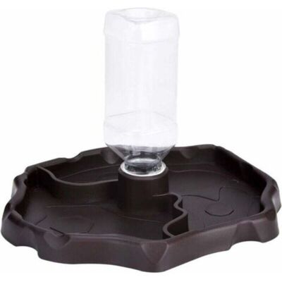 ENLENK Distributeur D'Eau Pour Reptile, Distributeur 2 En 1 De Nourriture Anti Debordement Bol, Gam En Plastique Pour Tortue Terrestre Gecko - Brun - Publicité ENLENK Distributeur D'Eau Pour Reptile, Distributeur 2 En 1 De Nourriture Anti Debordement Bol, Gam En Plastique Pour Tortue Terrestre Gecko - Brun - Publicité