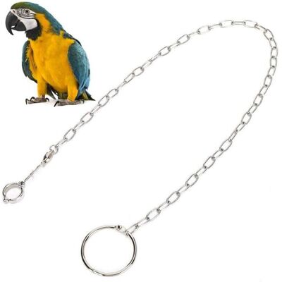 OEM Oiseau Pied Chaîne Volant En Acier Inoxydable Formation Corde En Plein Air Perroquet Cheville Pied Anneau Accessoires Oiseau Harnais Taille 10 - Publicité OEM Oiseau Pied Chaîne Volant En Acier Inoxydable Formation Corde En Plein Air Perroquet Cheville Pied Anneau Accessoires Oiseau Harnais Taille 10 - Publicité