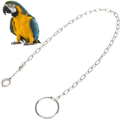 ENOWELIR Chaîne En Acier Inoxydable Pour Oiseaux – Harnais De Vol En Plein Air Avec Anneau De Cheville Et Corde De Formation Pour Perroquets Taille 10 - Publicité ENOWELIR Chaîne En Acier Inoxydable Pour Oiseaux – Harnais De Vol En Plein Air Avec Anneau De Cheville Et Corde De Formation Pour Perroquets Taille 10 - Publicité