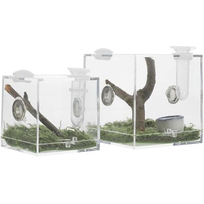 LISATR Lot De 2 Boîtes Transparentes Pour Araignées Sauteuses, Habitat Pour Araignées Sauteuses, Boîtes À Insectes En Acrylique-6.8x6.8cm - Publicité LISATR Lot De 2 Boîtes Transparentes Pour Araignées Sauteuses, Habitat Pour Araignées Sauteuses, Boîtes À Insectes En Acrylique-6.8x6.8cm - Publicité