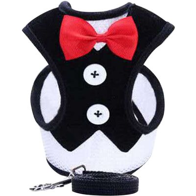PELTOR Jeffergarden harnais Et Laisse Pour Chien Avec Nœud Papillon – Ensemble Confortable, Résistant Et Respirant Pour La Promenade (taille L, Noir) - Publicité PELTOR Jeffergarden harnais Et Laisse Pour Chien Avec Nœud Papillon – Ensemble Confortable, Résistant Et Respirant Pour La Promenade (taille L, Noir) - Publicité