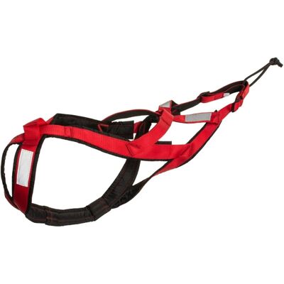 GRASSLIN 1 Harnais Chien,nylon,rouge,taille M,canicross,bikejöring,skijöring,sport Canin - Publicité GRASSLIN 1 Harnais Chien,nylon,rouge,taille M,canicross,bikejöring,skijöring,sport Canin - Publicité