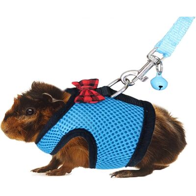 ALVIOR Harnais Pour Cochon D Inde - Filet Respirant Ajustable Avec Clochette De Sécurité - Pour Cobaye Ferret Chinchilla Et Petits Animaux Similaires - 1 Pièce - Publicité ALVIOR Harnais Pour Cochon D Inde - Filet Respirant Ajustable Avec Clochette De Sécurité - Pour Cobaye Ferret Chinchilla Et Petits Animaux Similaires - 1 Pièce - Publicité