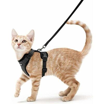 OEM Harnais Chat Petit Chien Laisse Harnais Chaton Réglable Noir S Collier Harnai Chat Refléchissant Gilet Respirant Pour Lapin, Chat Européen, Maine Coon, Persan, Attache Dessus Avec Laisse-crezuo - Publicité OEM Harnais Chat Petit Chien Laisse Harnais Chaton Réglable Noir S Collier Harnai Chat Refléchissant Gilet Respirant Pour Lapin, Chat Européen, Maine Coon, Persan, Attache Dessus Avec Laisse-crezuo - Publicité