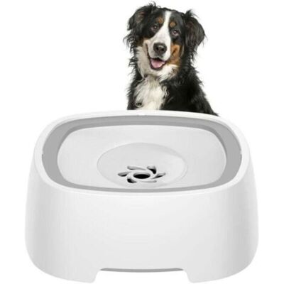 SANS MARQUE Gamelle Anti-éclaboussures Pour Chien 1,5l – Matériau Pp Non Toxique – Plaque Flottante Pour Accès Facile À L'Eau – Antidéte - Publicité SANS MARQUE Gamelle Anti-éclaboussures Pour Chien 1,5l – Matériau Pp Non Toxique – Plaque Flottante Pour Accès Facile À L'Eau – Antidéte - Publicité