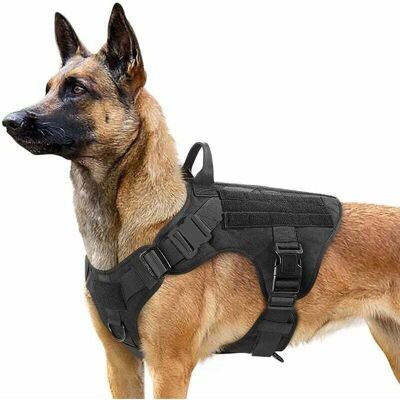 Melissa Debuns – Harnais Pour Chien Taille M – Nylon 1050d – Système Molle Pour Accessoires – Contrôle Anti-traction Avec 2 Points D'Attache - Publicité Melissa Debuns – Harnais Pour Chien Taille M – Nylon 1050d – Système Molle Pour Accessoires – Contrôle Anti-traction Avec 2 Points D'Attache - Publicité