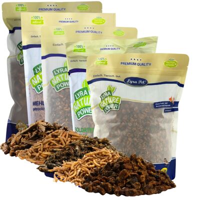 "translations":["text":"5 X 1 Kg De Mélange D'Essai D'Insectes Lyra Pet® Séchés","detectedsourcelanguage":"de","taghandlingversion":"v1 - Publicité "translations":["text":"5 X 1 Kg De Mélange D'Essai D'Insectes Lyra Pet® Séchés","detectedsourcelanguage":"de","taghandlingversion":"v1 - Publicité