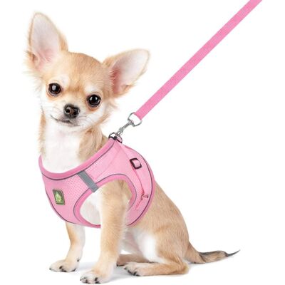 GRASSLIN 1 Harnais Chien Chat, Mesh Réfléchissant Réglable, Veste Douce, Laisse Incluse, Petit Moyen Chiot - Publicité GRASSLIN 1 Harnais Chien Chat, Mesh Réfléchissant Réglable, Veste Douce, Laisse Incluse, Petit Moyen Chiot - Publicité