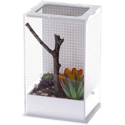 OEM Repti-zoo Mantis Box L - Terrarium En Acrylique Pour Mantes Religieuses - Publicité OEM Repti-zoo Mantis Box L - Terrarium En Acrylique Pour Mantes Religieuses - Publicité