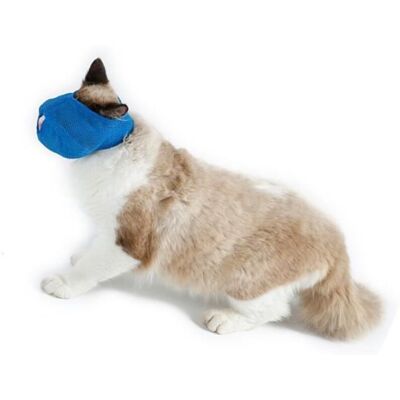 FANGMEDIA Muselières Pour Chats - Surenhap - Maille Respirante - Réglables - Accessoires Essentiels - Publicité FANGMEDIA Muselières Pour Chats - Surenhap - Maille Respirante - Réglables - Accessoires Essentiels - Publicité