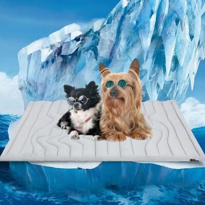 Vision Tapis Rafraîchissant Pour Animaux, 91 X 58 Cm, Réversible (froid Et Chaud), Pour Chiens Et Chats, À Utiliser Dans Une Cage, Un Chenil, Un Lit Ou Un Canapé. Lavable En Machine, Durable, Sans Gel, Gris - Publicité Vision Tapis Rafraîchissant Pour Animaux, 91 X 58 Cm, Réversible (froid Et Chaud), Pour Chiens Et Chats, À Utiliser Dans Une Cage, Un Chenil, Un Lit Ou Un Canapé. Lavable En Machine, Durable, Sans Gel, Gris - Publicité