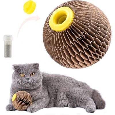 Vision Jouet À L'Herbe À Chat Pour Chats, Rechargeable, À Gratter, Fidèle Compagnon De Jeu Pour Chatons, Réduit L'Obésité Et La Solitude - Publicité Vision Jouet À L'Herbe À Chat Pour Chats, Rechargeable, À Gratter, Fidèle Compagnon De Jeu Pour Chatons, Réduit L'Obésité Et La Solitude - Publicité