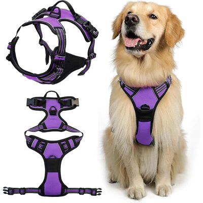 GRASSLIN 1 Harnais Chien, Anti Traction, Réfléchissant, Ajustable, Pour Promenade - Publicité GRASSLIN 1 Harnais Chien, Anti Traction, Réfléchissant, Ajustable, Pour Promenade - Publicité
