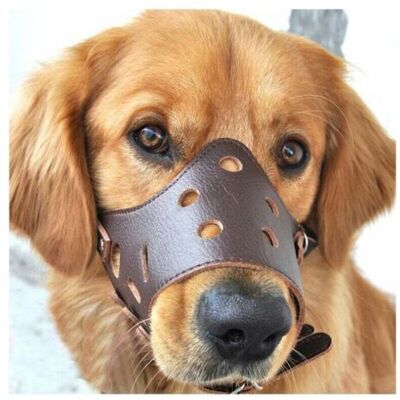 SANS MARQUE Chien En Cuir Muselière Anti-aboiement Pour Les Grands Chiens De Petite Taille Moyenne L,de - Publicité SANS MARQUE Chien En Cuir Muselière Anti-aboiement Pour Les Grands Chiens De Petite Taille Moyenne L,de - Publicité
