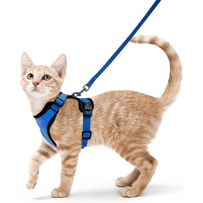 Cellfast Petit Chien Chat Harnais Réglable Chaton Harnais Réfléchissant Chat Harnais Collier Respirant Gilet Avec Laisse - Bleu S - Publicité Cellfast Petit Chien Chat Harnais Réglable Chaton Harnais Réfléchissant Chat Harnais Collier Respirant Gilet Avec Laisse - Bleu S - Publicité