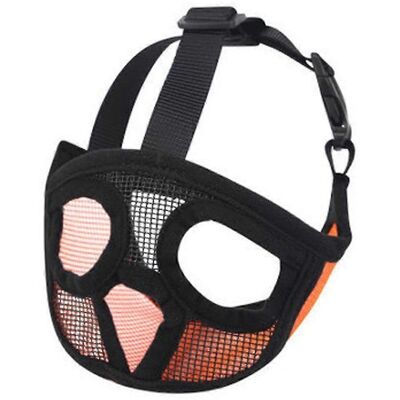LISATR Muselière Pour Chien À Museau Court - Muselière En Maille Respirante Ajustable Pour Bouledogue - Publicité LISATR Muselière Pour Chien À Museau Court - Muselière En Maille Respirante Ajustable Pour Bouledogue - Publicité
