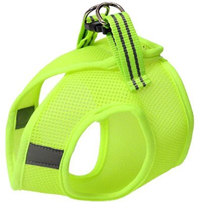 FATRD Harnais Pour Chat (1 Pièce) Pour Chaton, Chiot Ou Lapin - Publicité FATRD Harnais Pour Chat (1 Pièce) Pour Chaton, Chiot Ou Lapin - Publicité