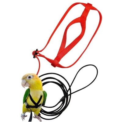 Cellfast Harnais Et Laisse Pour Oiseaux, Laisse Pour Harnais Réglable Pour Perroquet - Corde De Dressage Pour Animaux De Compagnie - Publicité Cellfast Harnais Et Laisse Pour Oiseaux, Laisse Pour Harnais Réglable Pour Perroquet - Corde De Dressage Pour Animaux De Compagnie - Publicité