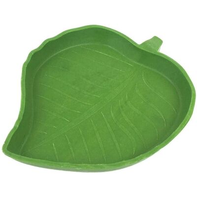 YUDO Gamelle Pour Reptiles, Petite Surface Lisse, Décorations, Habitat Pour Lézards, Gamelle D'Eau Pour Gecko, Caméléon, Léopard-style B - Publicité YUDO Gamelle Pour Reptiles, Petite Surface Lisse, Décorations, Habitat Pour Lézards, Gamelle D'Eau Pour Gecko, Caméléon, Léopard-style B - Publicité