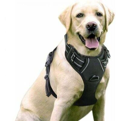 OEM Harnais Anti-traction Pour Chien. Juste Pour Les Chiens. Harnais Réfléchissant Réglable Facile À Porter Avec Sangle De Fixation Avant. Adapté Aux Chiens De Taille Moyenne. Grand. Noir - Publicité OEM Harnais Anti-traction Pour Chien. Juste Pour Les Chiens. Harnais Réfléchissant Réglable Facile À Porter Avec Sangle De Fixation Avant. Adapté Aux Chiens De Taille Moyenne. Grand. Noir - Publicité