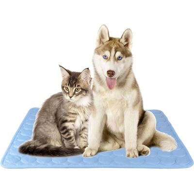 BRINSEA Tapis De Refroidissement Pour Chien, Tapis De Refroidissement Pour Chat, Coussin De Refroidissement Pour Chats Et Chiens Coolcore, Non Toxique, Bleu, L - Publicité BRINSEA Tapis De Refroidissement Pour Chien, Tapis De Refroidissement Pour Chat, Coussin De Refroidissement Pour Chats Et Chiens Coolcore, Non Toxique, Bleu, L - Publicité