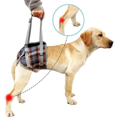 SANS MARQUE Harnais De Soutien Pour Chien, Pattes Arrière Pour Animaux De Compagnie, Levage Réglable, Sangle De Récupération Pour Chien, Rééducation, Aide Canine Pour La Marche Des Chiens Âgés (m, Bleu) - Publicité SANS MARQUE Harnais De Soutien Pour Chien, Pattes Arrière Pour Animaux De Compagnie, Levage Réglable, Sangle De Récupération Pour Chien, Rééducation, Aide Canine Pour La Marche Des Chiens Âgés (m, Bleu) - Publicité
