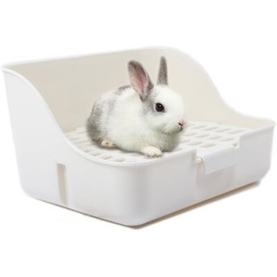 ALVIOR Bac À Litière - Pour Lapins Chinchillas Cochons D Inde Furets - 27,9 X 21,6 X 15,2 Cm - Avec Grille Au Sol - Fixation Par Crochets - Blanc - 1 Pièce - Publicité ALVIOR Bac À Litière - Pour Lapins Chinchillas Cochons D Inde Furets - 27,9 X 21,6 X 15,2 Cm - Avec Grille Au Sol - Fixation Par Crochets - Blanc - 1 Pièce - Publicité