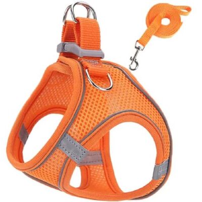 SCORPIO Harnais Chien, Harnais Pour Chien Chat Pour Promenade De Chien En Plein Air Dressage Step-in Harnais(s) - Publicité SCORPIO Harnais Chien, Harnais Pour Chien Chat Pour Promenade De Chien En Plein Air Dressage Step-in Harnais(s) - Publicité