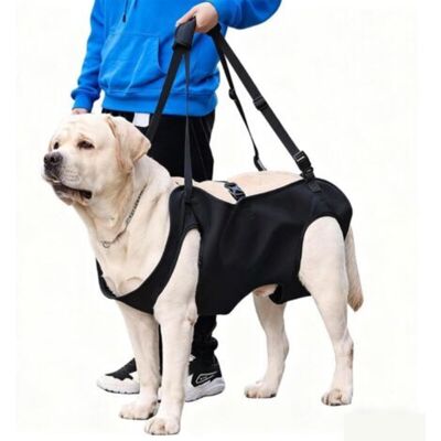 RICEEL Harnais De Levage/transport Pour Chien, Harnais De Levage Pour Chien, Harnais Chien De Levage, Support Sécurité Jambe Arrière, Pour Chiens Âgés, Blessures Articulaires, Arthrite (m) - Publicité RICEEL Harnais De Levage/transport Pour Chien, Harnais De Levage Pour Chien, Harnais Chien De Levage, Support Sécurité Jambe Arrière, Pour Chiens Âgés, Blessures Articulaires, Arthrite (m) - Publicité