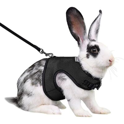 ABCRITAL Harnais Pour Lapin, Furet, Rat Et Hamster, Confortable Et Réglable, Avec Laisse Et Harnais En Maille Douce, Accessoires Pour Animaux De Compagnie - Taille S - Noir - Publicité ABCRITAL Harnais Pour Lapin, Furet, Rat Et Hamster, Confortable Et Réglable, Avec Laisse Et Harnais En Maille Douce, Accessoires Pour Animaux De Compagnie - Taille S - Noir - Publicité