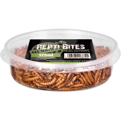 OEM Terrario Repti Bites Vers De Farine 125 Ml - Vers De Farine Séchés - Publicité OEM Terrario Repti Bites Vers De Farine 125 Ml - Vers De Farine Séchés - Publicité
