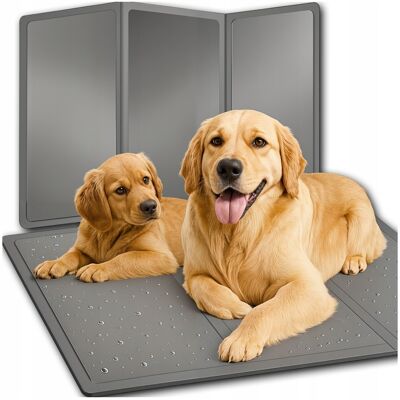 OEM Tapis Rafraîchissant Pour Chien Ou Chat, Grand Lit En Gel Imperméable Xxxl 90x50 Cm - Publicité OEM Tapis Rafraîchissant Pour Chien Ou Chat, Grand Lit En Gel Imperméable Xxxl 90x50 Cm - Publicité