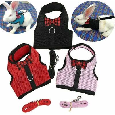 FANGMEDIA Harnais Pour Petits Animaux Laisses Hamster Lapin Chat Furets Écureuil Rat Gilet Vêtements - Publicité FANGMEDIA Harnais Pour Petits Animaux Laisses Hamster Lapin Chat Furets Écureuil Rat Gilet Vêtements - Publicité