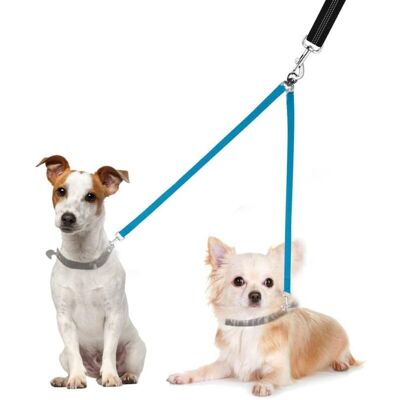 Scotch Double Laisse Pour Chien, Laisse De Dressage Réglable, Séparateur De Laisses Pour Deux Chiens Pour Animaux De Compagnie Laisse De Chien Double, Aucun Embrouillement - Publicité Scotch Double Laisse Pour Chien, Laisse De Dressage Réglable, Séparateur De Laisses Pour Deux Chiens Pour Animaux De Compagnie Laisse De Chien Double, Aucun Embrouillement - Publicité