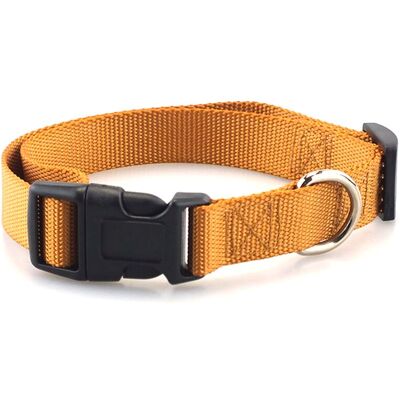 Andiamo Carhartt Pet Colliers En Sangle Entièrement Réglables Pour Chiens. Coutures Réfléchissantes Pour La Visibilité - Publicité Andiamo Carhartt Pet Colliers En Sangle Entièrement Réglables Pour Chiens. Coutures Réfléchissantes Pour La Visibilité - Publicité