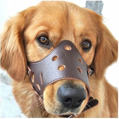 TOOLTEK Chien En Cuir Muselière Anti-aboiement Pour Les Grands Chiens De Petite Taille Moyenne L,de Debuns - Publicité TOOLTEK Chien En Cuir Muselière Anti-aboiement Pour Les Grands Chiens De Petite Taille Moyenne L,de Debuns - Publicité