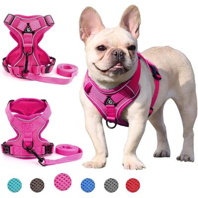 GRASSLIN 1 Harnais Chien Maille Respirante, Anti Traction Réglable Avec Anneaux En D Et Laisse, Pour Promenade Dressage Petit Moyenne Chien Rose M - Publicité GRASSLIN 1 Harnais Chien Maille Respirante, Anti Traction Réglable Avec Anneaux En D Et Laisse, Pour Promenade Dressage Petit Moyenne Chien Rose M - Publicité