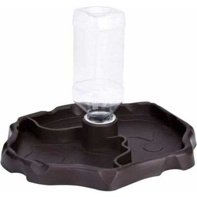 OEM Royaluxe-distributeur Reptile 2 En 1 Eau Et Nourriture – Plastique Haute Qualité Brun, Anti-débordement Antidérapant Résistant À L'Usure, Base Ronde Robuste, Pour Tortue Terrestre Gecko Lézard Serpent - Publicité OEM Royaluxe-distributeur Reptile 2 En 1 Eau Et Nourriture – Plastique Haute Qualité Brun, Anti-débordement Antidérapant Résistant À L'Usure, Base Ronde Robuste, Pour Tortue Terrestre Gecko Lézard Serpent - Publicité