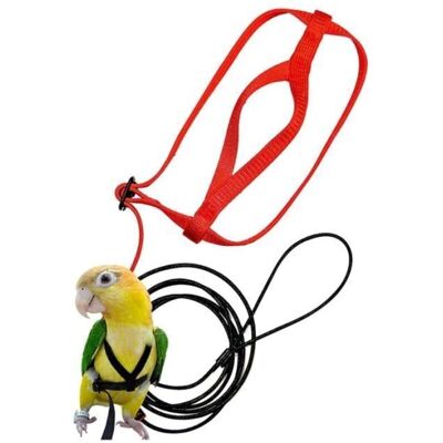 FANGMEDIA Harnais Et Laisse Pour Oiseaux, Laisse Pour Harnais Réglable Pour Perroquet - Corde De Dressage Pour Animaux De Compagnie - Publicité FANGMEDIA Harnais Et Laisse Pour Oiseaux, Laisse Pour Harnais Réglable Pour Perroquet - Corde De Dressage Pour Animaux De Compagnie - Publicité