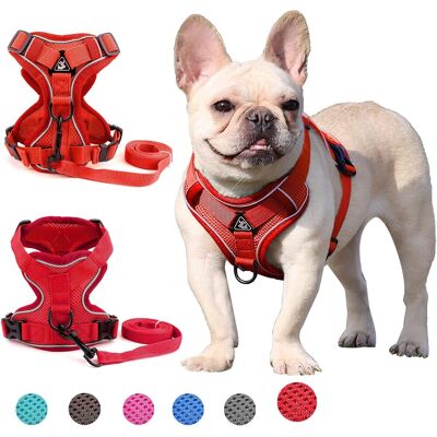 GRASSLIN 1 Harnais Chien Maille Respirante, Réglable Anti-traction, Anneaux Zinc, Réflecteur, Promenade Dressage - Publicité GRASSLIN 1 Harnais Chien Maille Respirante, Réglable Anti-traction, Anneaux Zinc, Réflecteur, Promenade Dressage - Publicité
