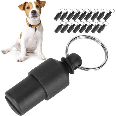 MOXIE 20 Pièces Étiquette D'Identification De Chien Mini Étiquette De Tube Anti-perte D'Animal Familier Étanche En Plastique Id Étiquettes De Nom Chiens Collier Pendentifs Étiquette(noir) - Publicité MOXIE 20 Pièces Étiquette D'Identification De Chien Mini Étiquette De Tube Anti-perte D'Animal Familier Étanche En Plastique Id Étiquettes De Nom Chiens Collier Pendentifs Étiquette(noir) - Publicité